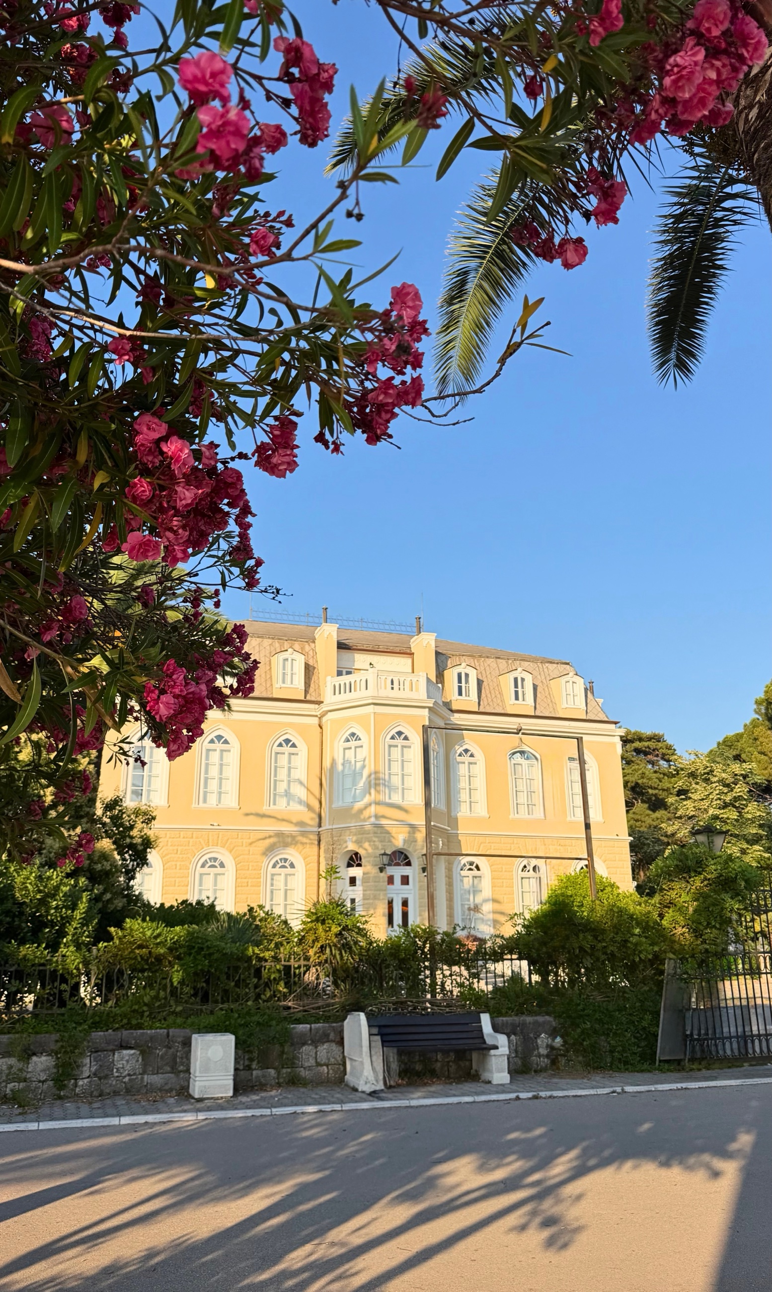 King Nikola’s Palace in Bar, framed by palms and summer flowers.