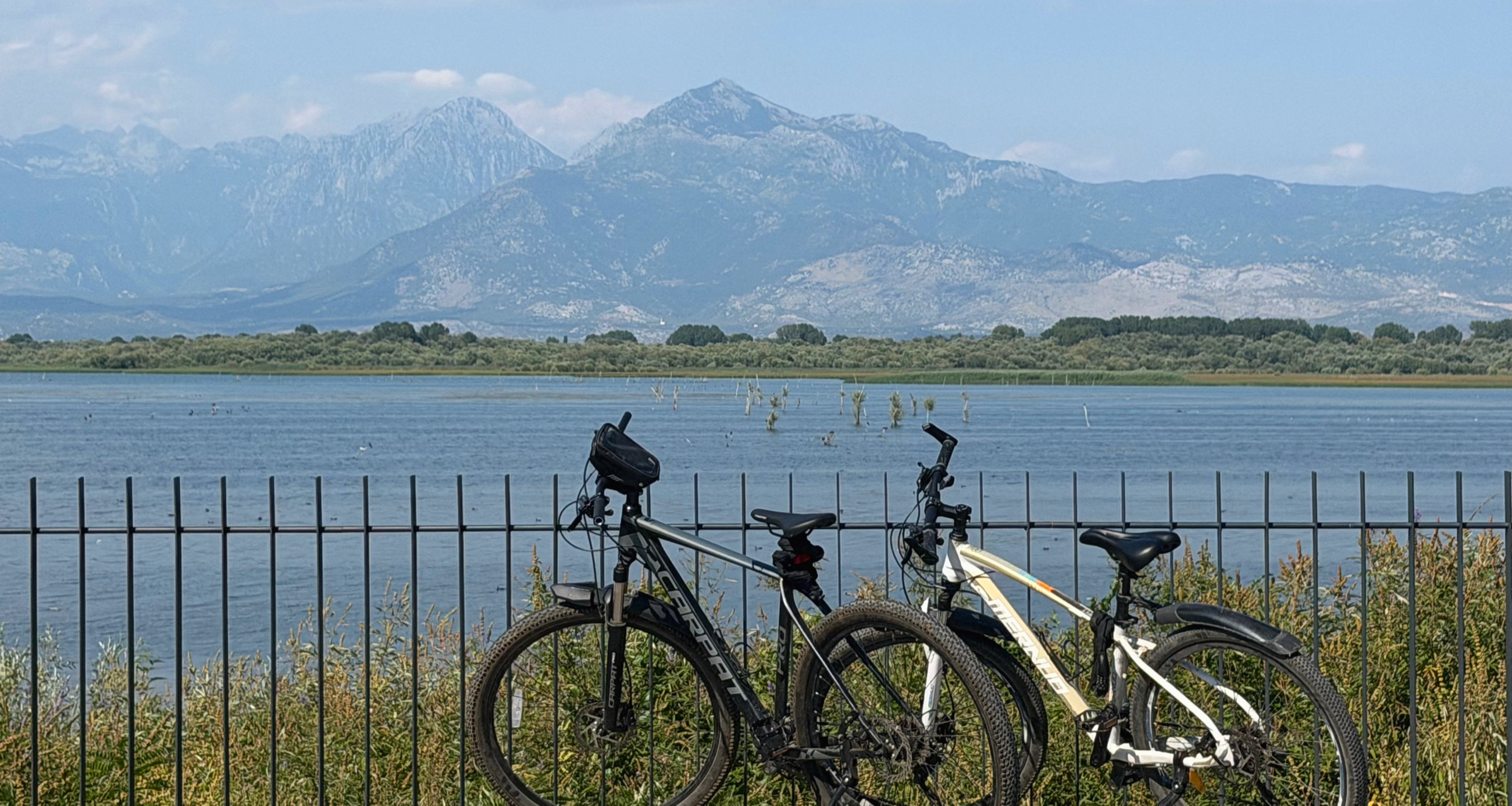 Two rental bicycles beside Lake Shkodër with the Albanian Alps beyond the water.