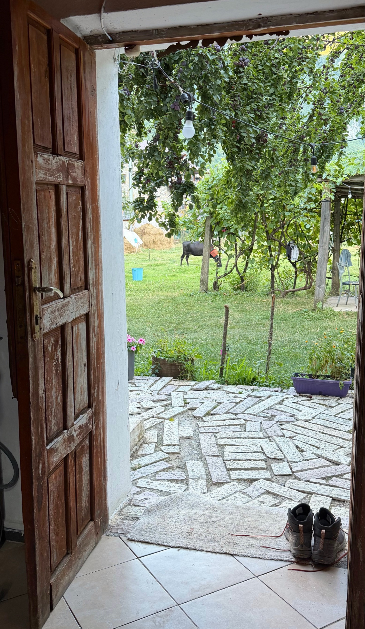 View through the open doorway of a rustic Theth guesthouse onto the family farm and fruit trees outside.