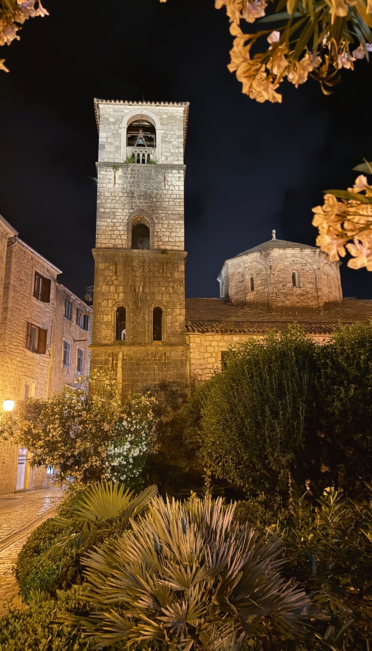 St. Mary Collegiate Church in Kotor at night, with garden walls and warm stone within the old city.