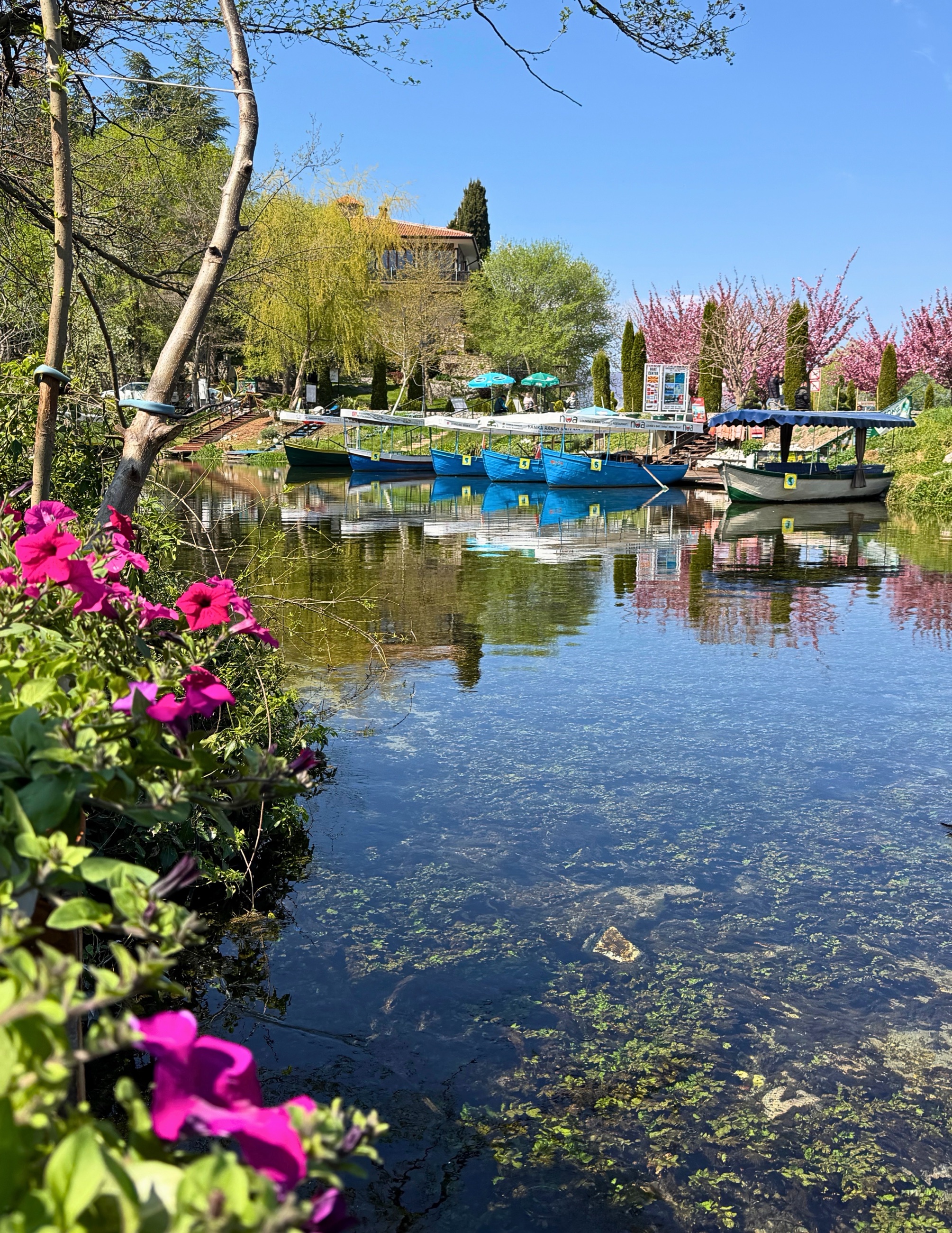 Rowboats waiting at the springs on the Saint Naum grounds