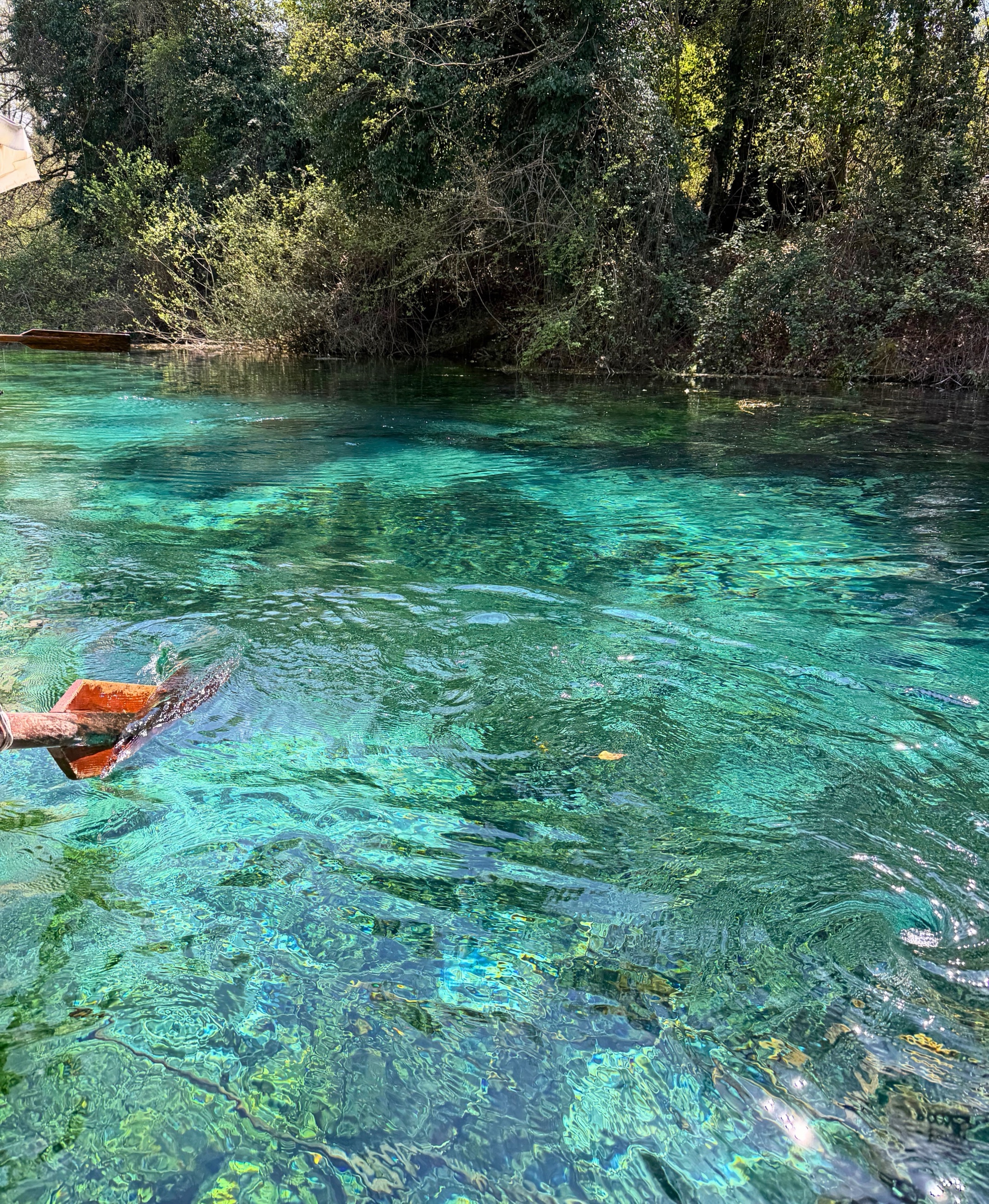Clear spring water and channels at Saint Naum