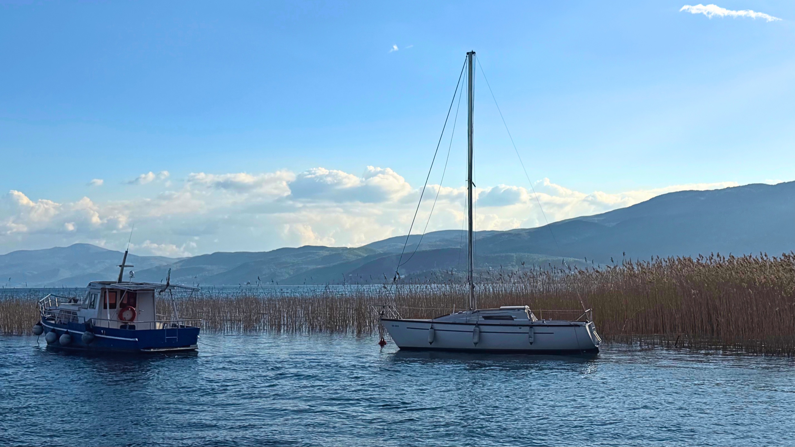 Boats anchored in the reeds along Lake Ohrid