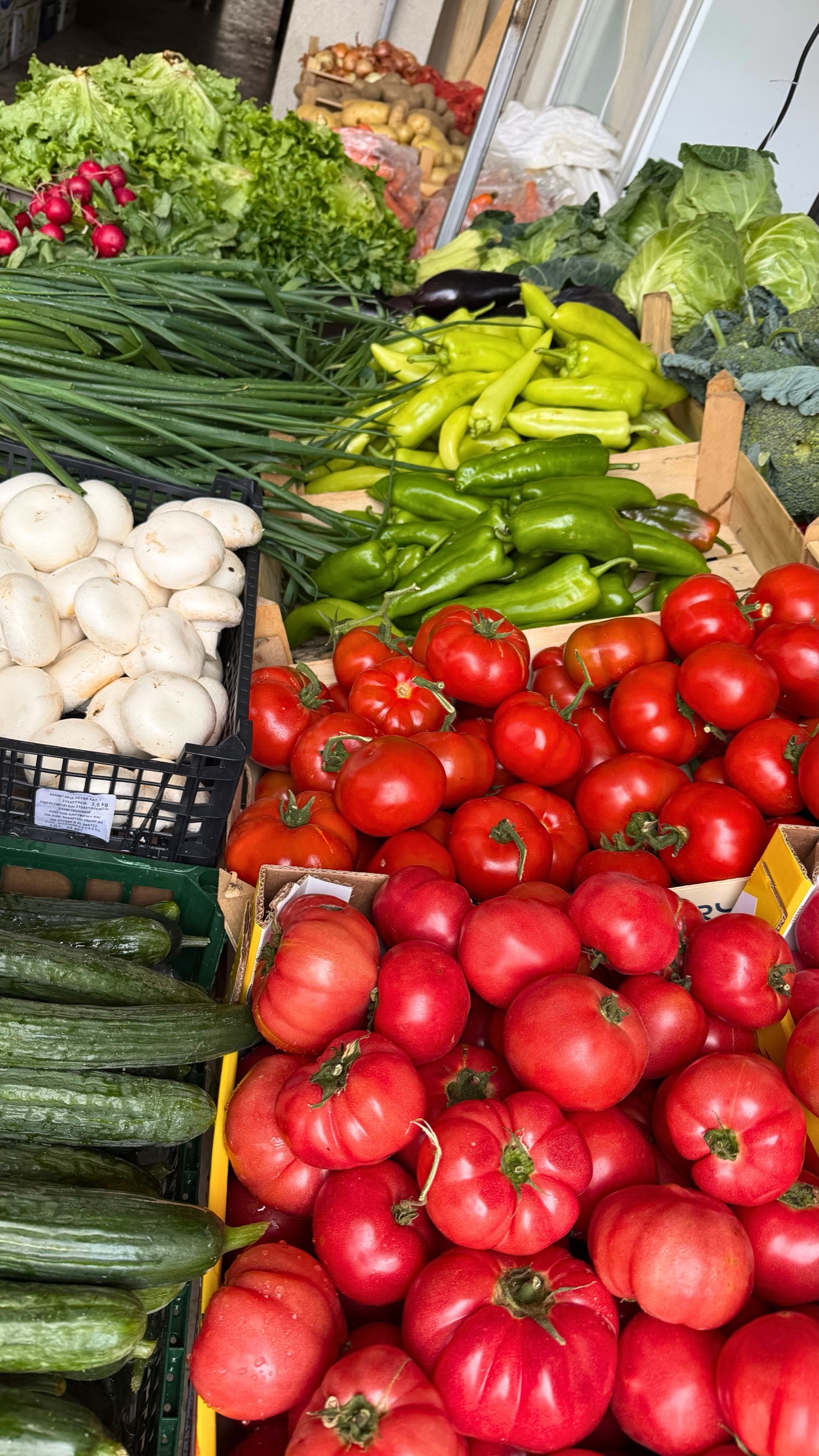 A produce stand in Ohrid with tomatoes, peppers, cucumbers, greens, mushrooms, potatoes, and other seasonal vegetables.