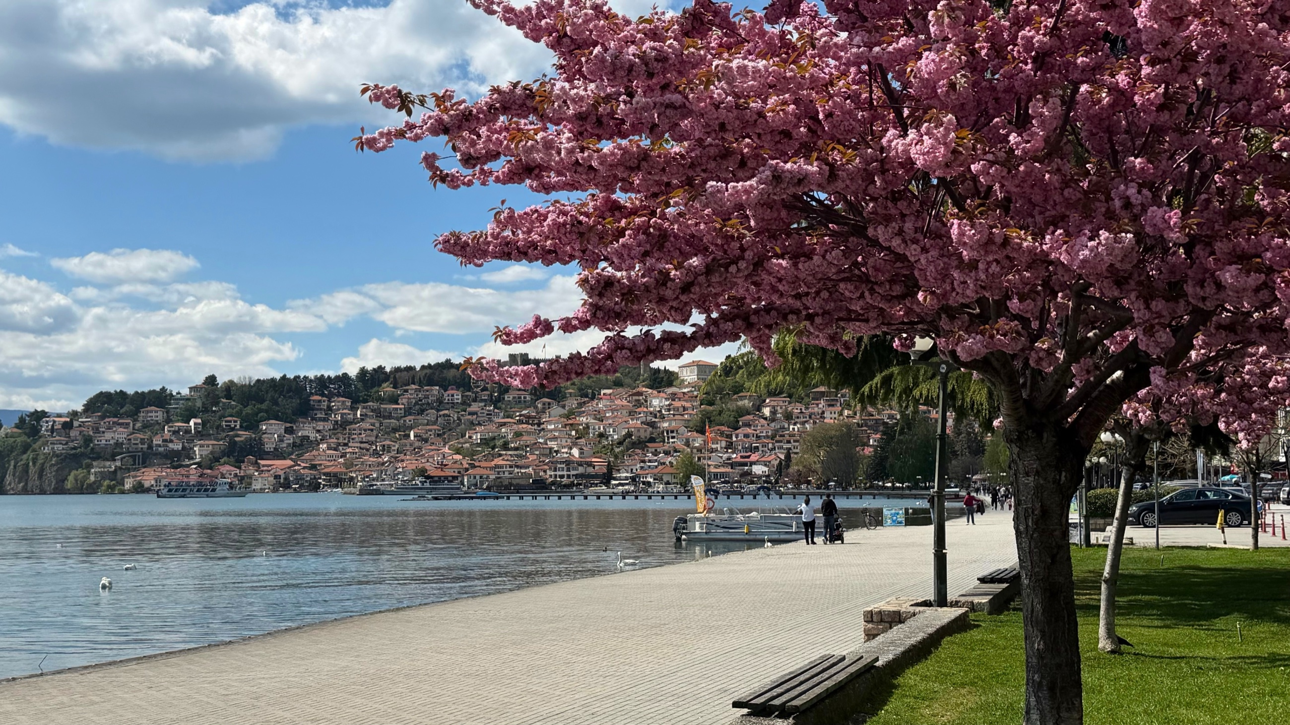 Spring blossoms above Lake Ohrid, with the promenade, water, and old town across the lake.