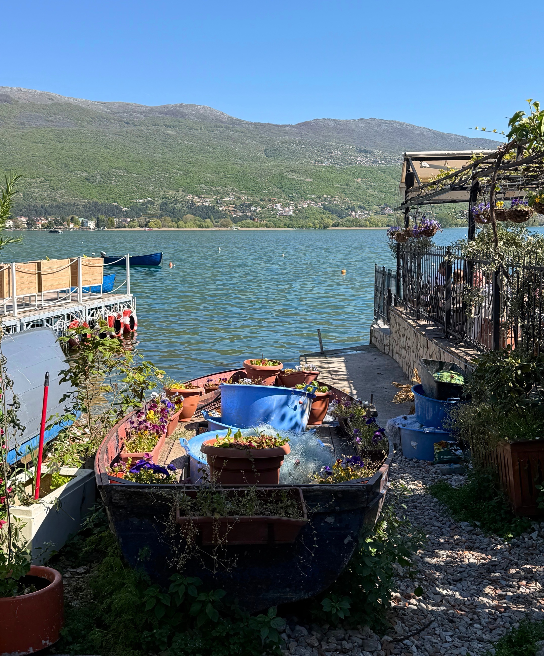 A small boat used as a garden beside Lake Ohrid, with flowers, planters, and mountains across the water.