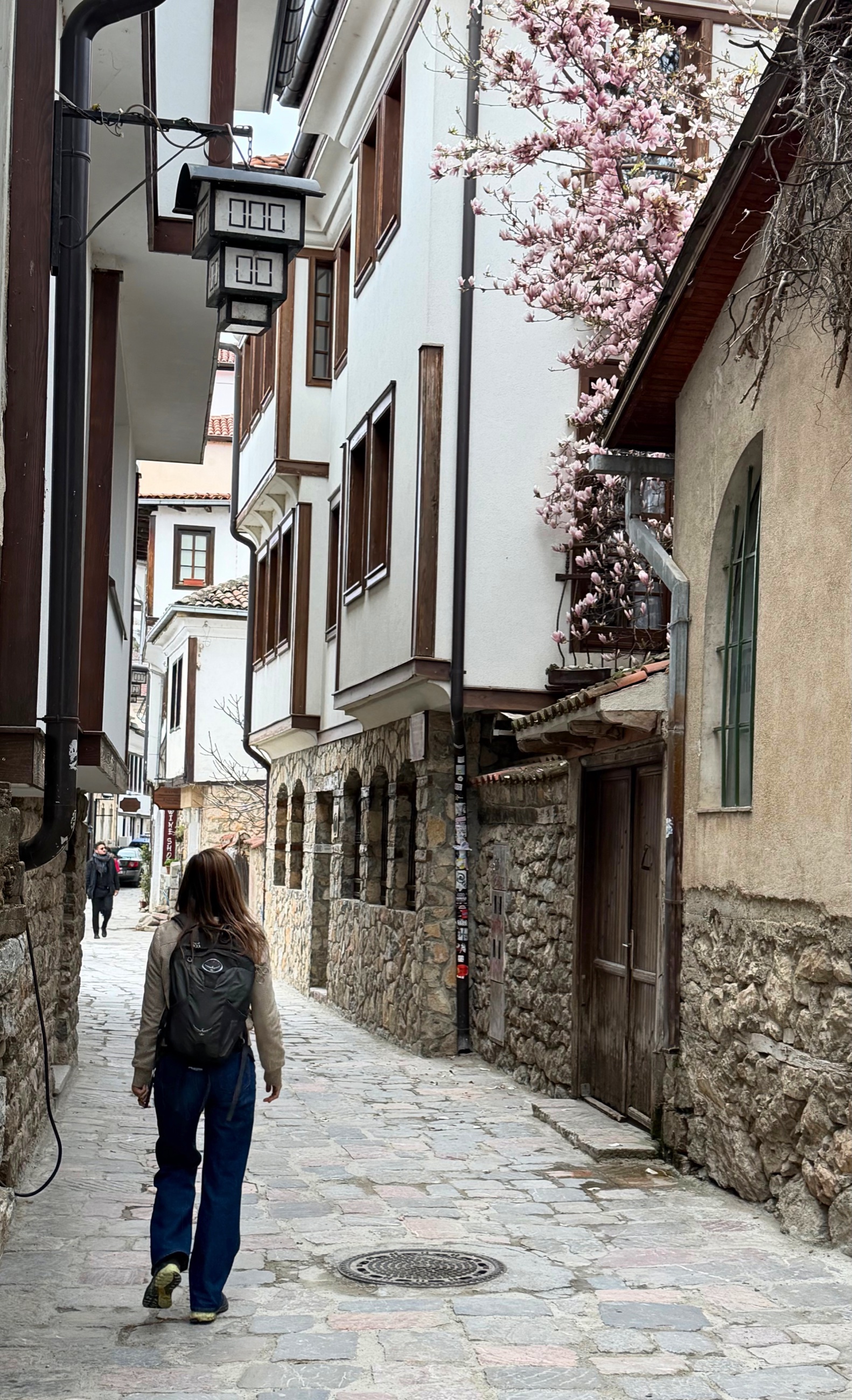 A narrow old town street in Ohrid with stone walls and spring blossoms overhead.