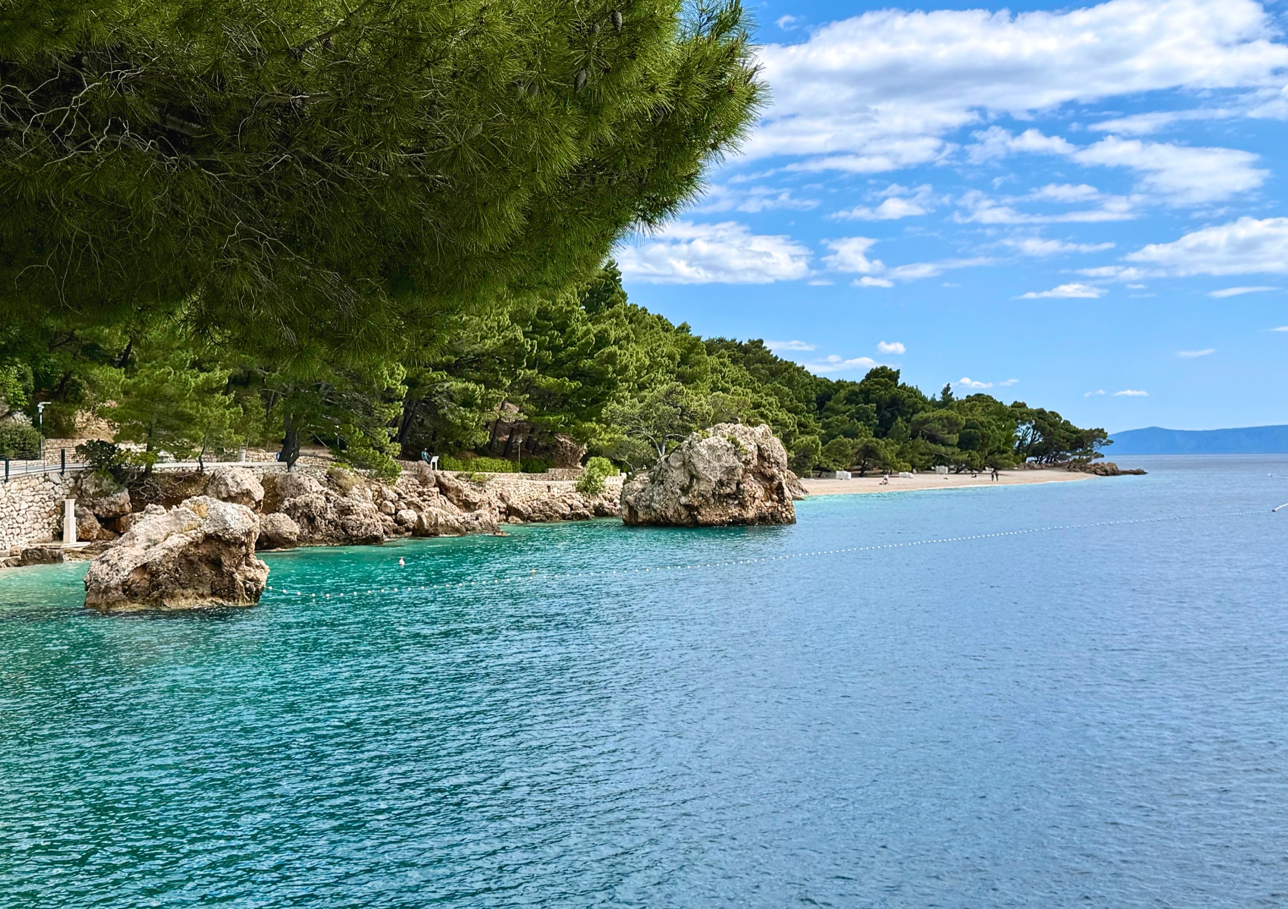 Coastline beyond Punta Rata with pine trees, pale rock, and open Adriatic water