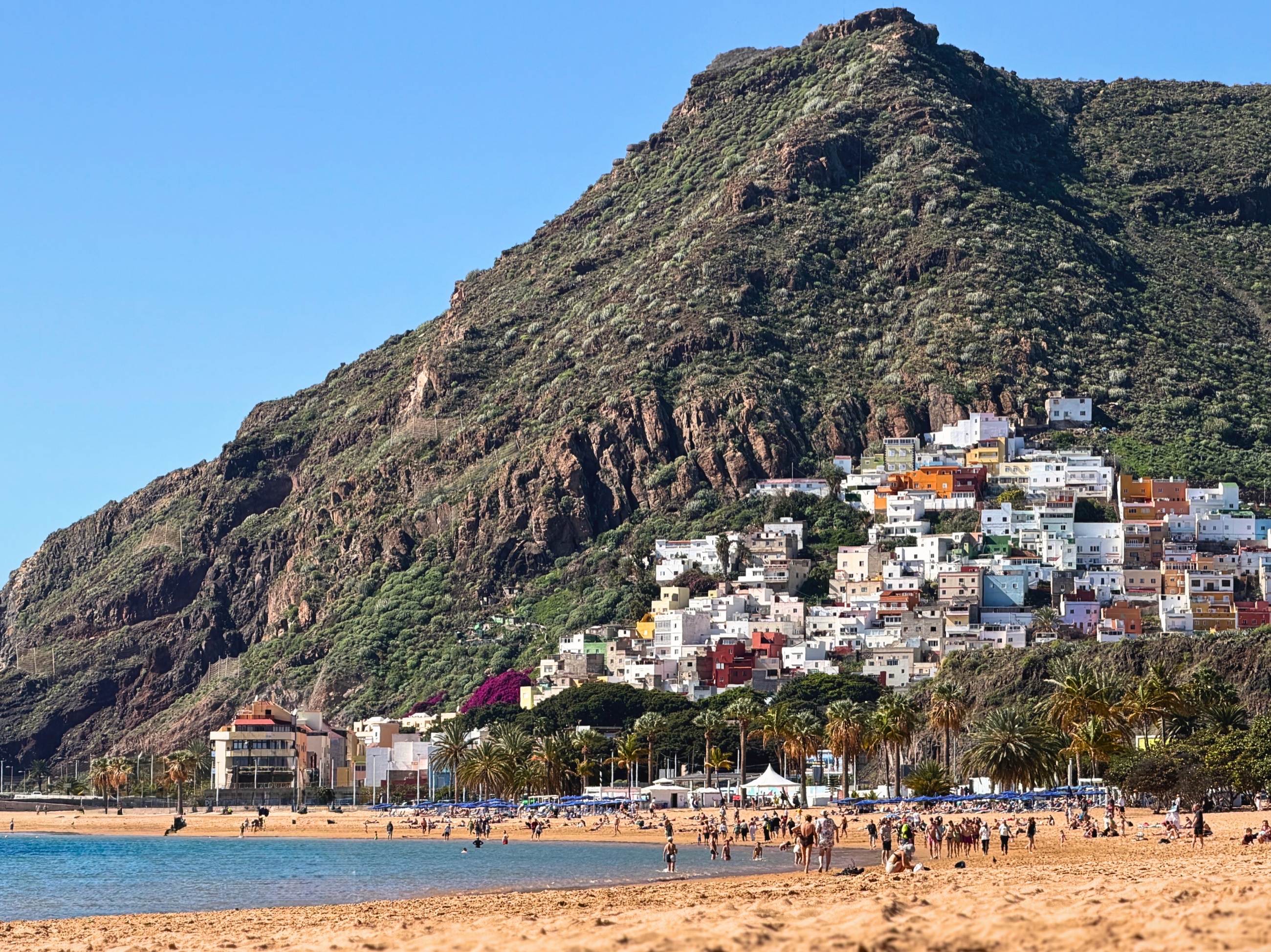 Playa de las Teresitas with golden sand, calm water, palm trees, and the Anaga mountains behind it.