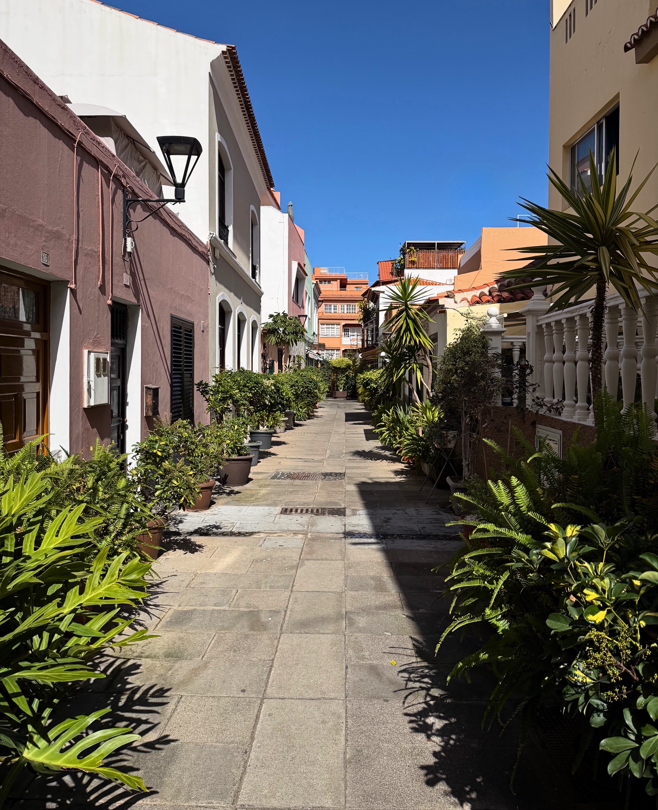 A narrow plant-lined street in Puerto de la Cruz under a blue sky.