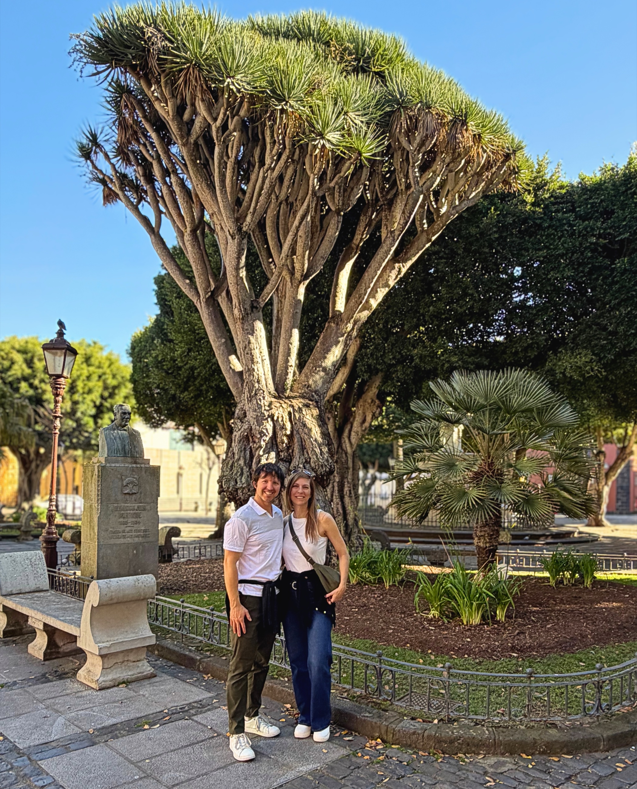Sam and Stephanie under a dragon tree in La Laguna.