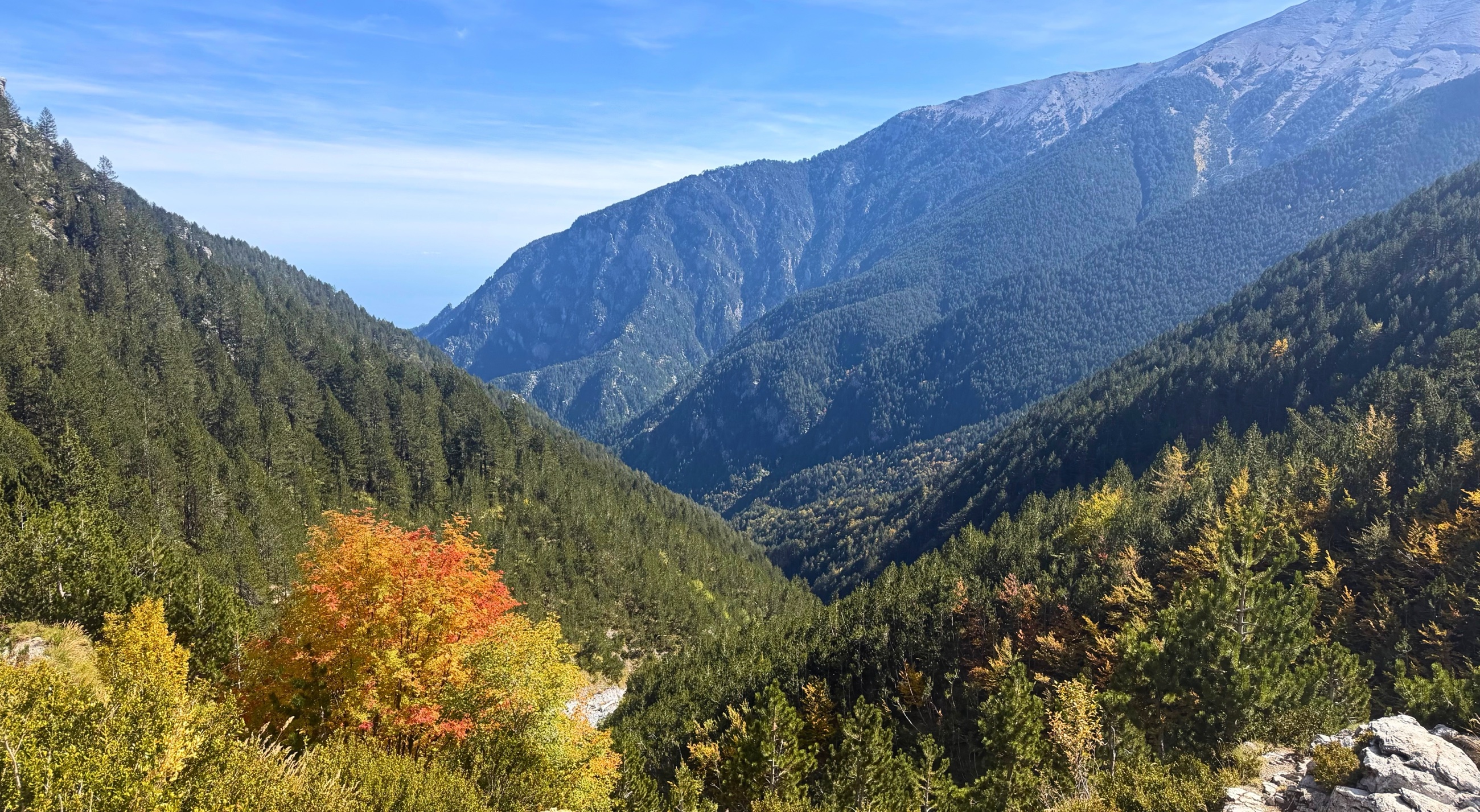 Forested slopes and limestone ridges of Mount Olympus in early autumn