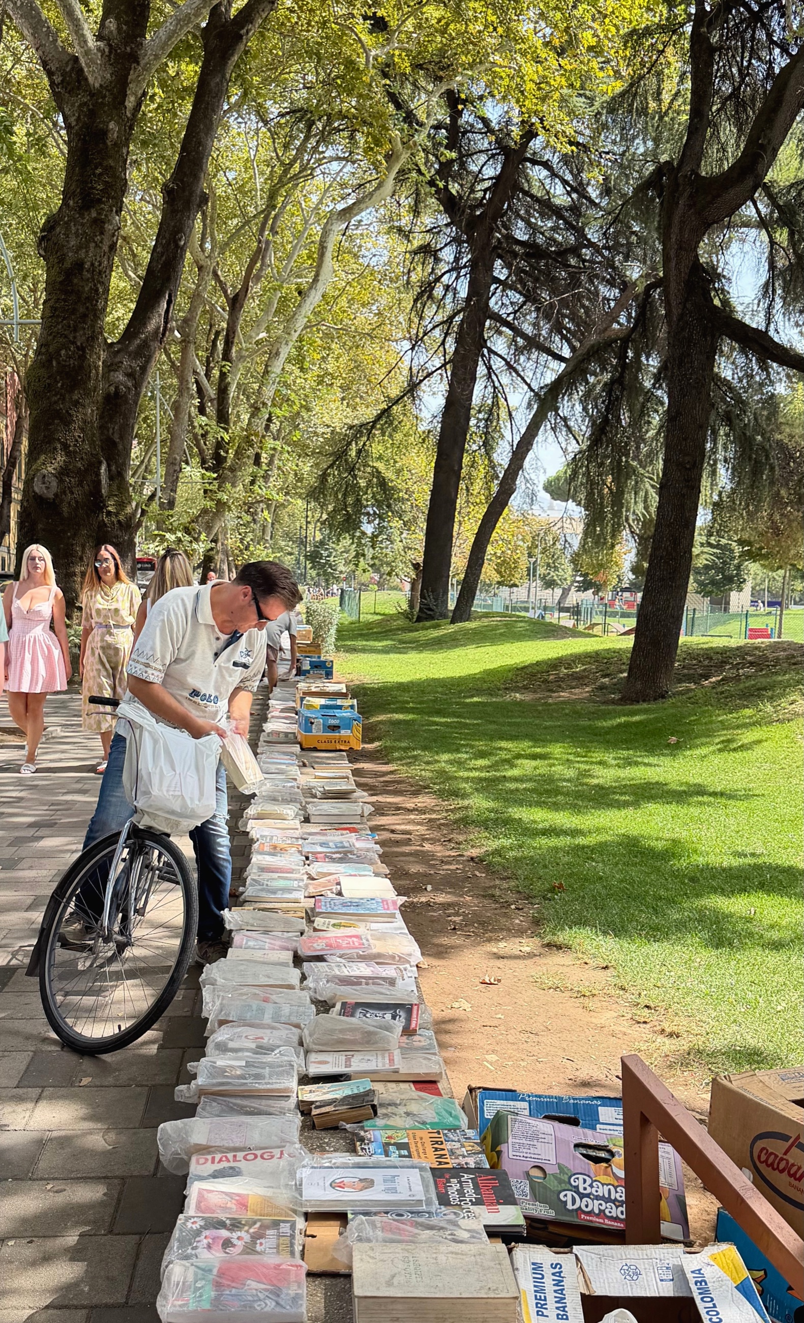 Books displayed for sale beneath trees in central Tirana.