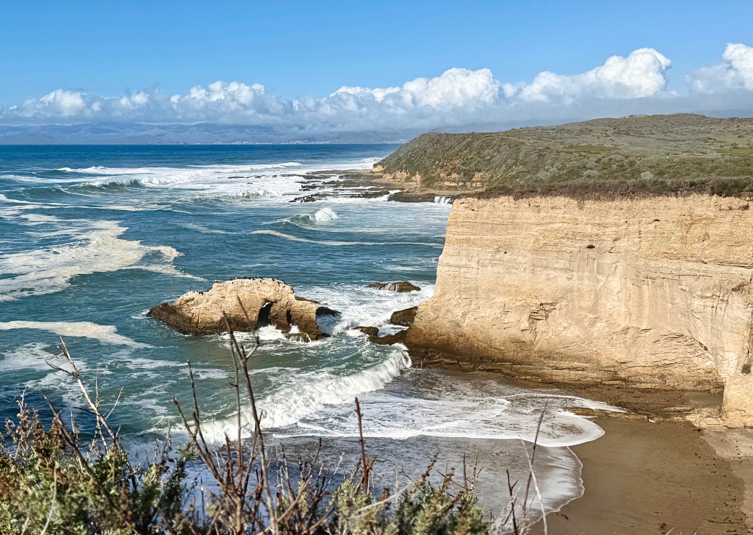 Cliffs and ocean views along the Bluff Trail at Montaña de Oro State Park